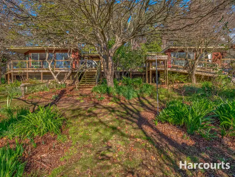 Second view of Homely rural property listing, 709 Nilma Shady Creek Road, Nilma North VIC 3821