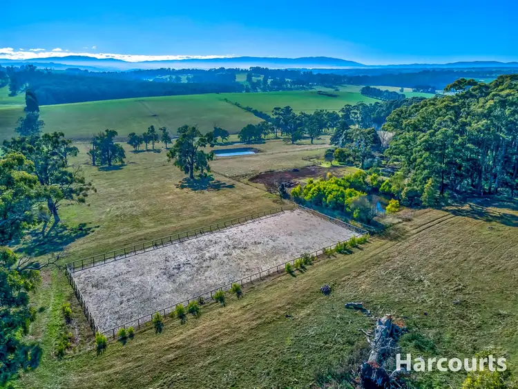 Fifth view of Homely rural property listing, 709 Nilma Shady Creek Road, Nilma North VIC 3821