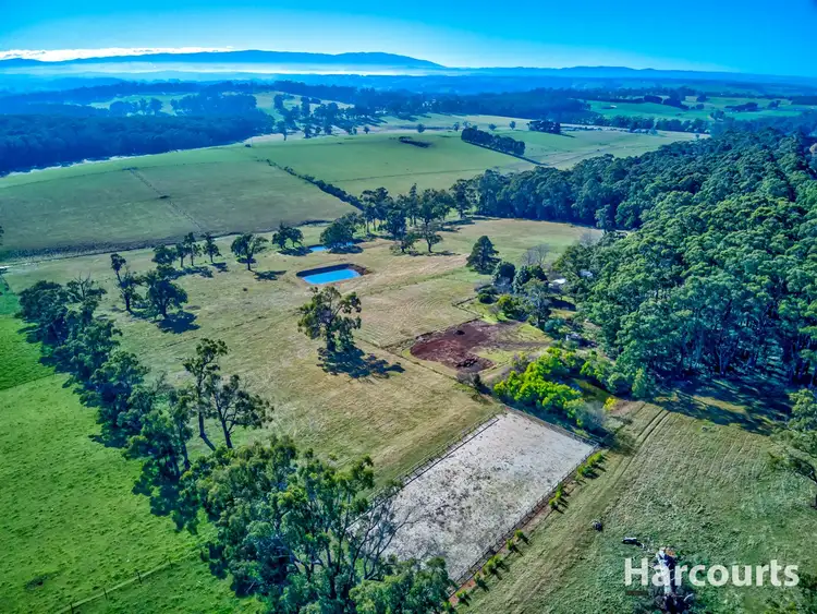 Sixth view of Homely rural property listing, 709 Nilma Shady Creek Road, Nilma North VIC 3821
