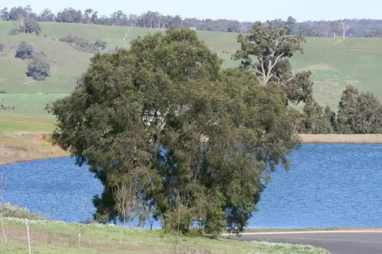 Fourth view of Homely land listing, 20 Gleneagles Drive, Bridgetown WA 6255