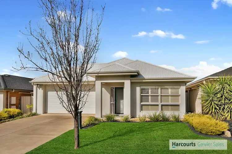 11 Doudney Avenue, Evanston Gardens SA 5116