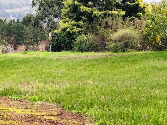 Fifth view of Homely land listing, Lot 14 Jacaranda Place, Bridgetown WA 6255