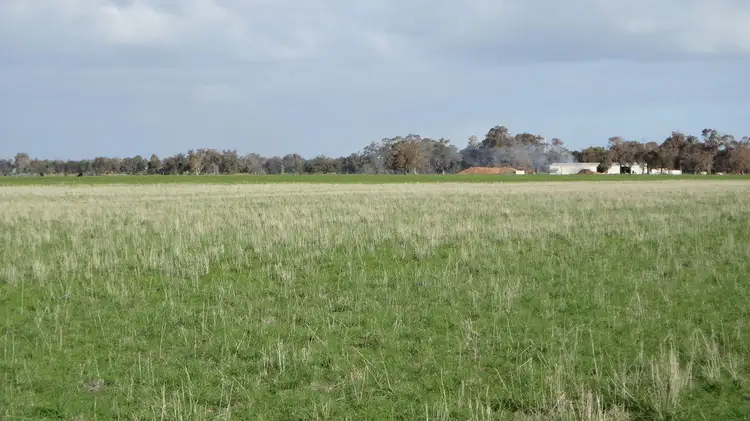 Main view of Homely rural property listing, 45 Boyanup West Road, Stratham WA 6237
