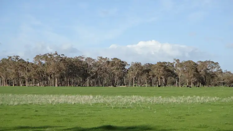 Second view of Homely rural property listing, 45 Boyanup West Road, Stratham WA 6237