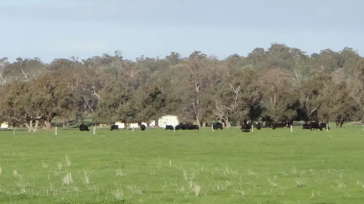 Fifth view of Homely rural property listing, 45 Boyanup West Road, Stratham WA 6237