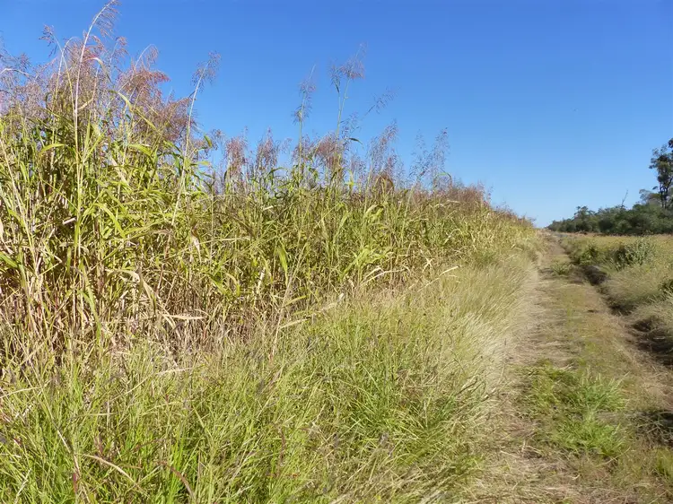 . Bullagreen, Talwood QLD 4496