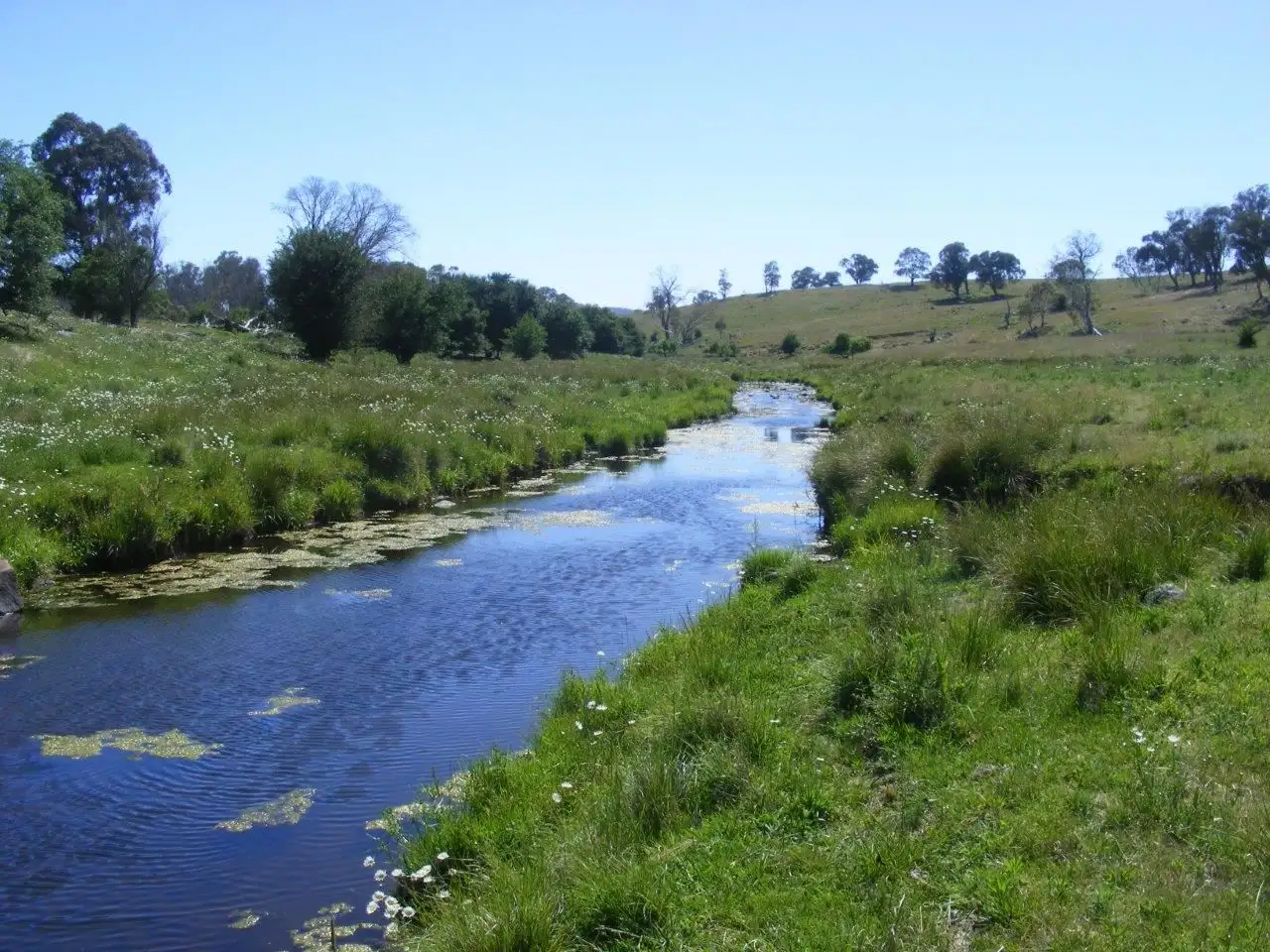 Main view of Homely rural property listing, Fletchers'/. Mt Mitchell Road, Glencoe NSW 2365
