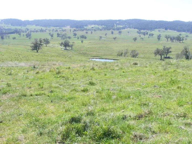 Third view of Homely rural property listing, Fletchers'/. Mt Mitchell Road, Glencoe NSW 2365