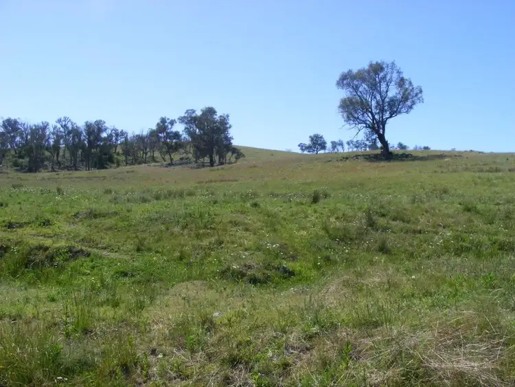 Fifth view of Homely rural property listing, Fletchers'/. Mt Mitchell Road, Glencoe NSW 2365