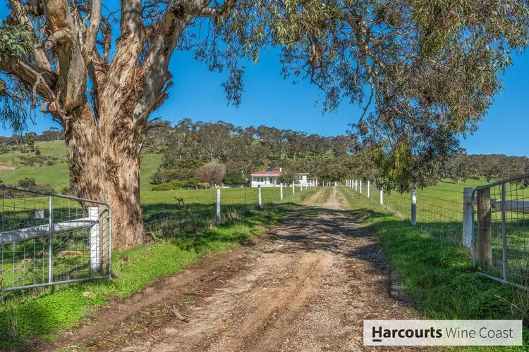 Main view of Homely rural property listing, 694 Hay Flat Road, Hay Flat SA 5204
