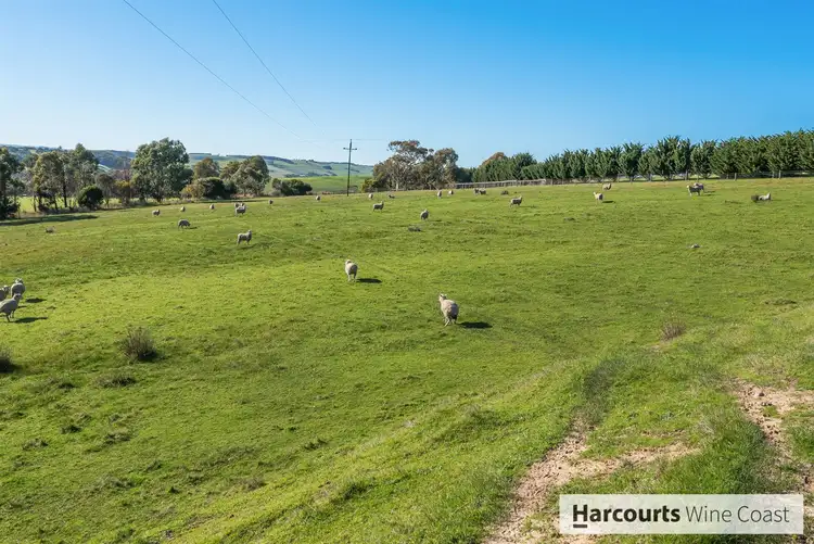 Fifth view of Homely rural property listing, 694 Hay Flat Road, Hay Flat SA 5204