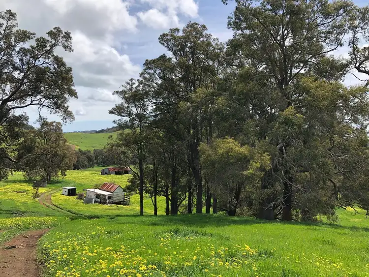 Fourth view of Homely rural property listing, 871 Coalfields Rd, Roelands WA 6226