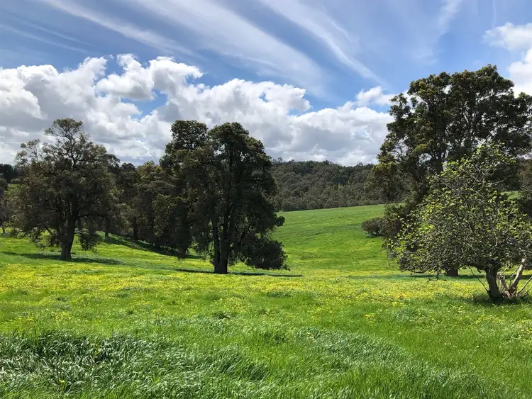 Fifth view of Homely rural property listing, 871 Coalfields Rd, Roelands WA 6226