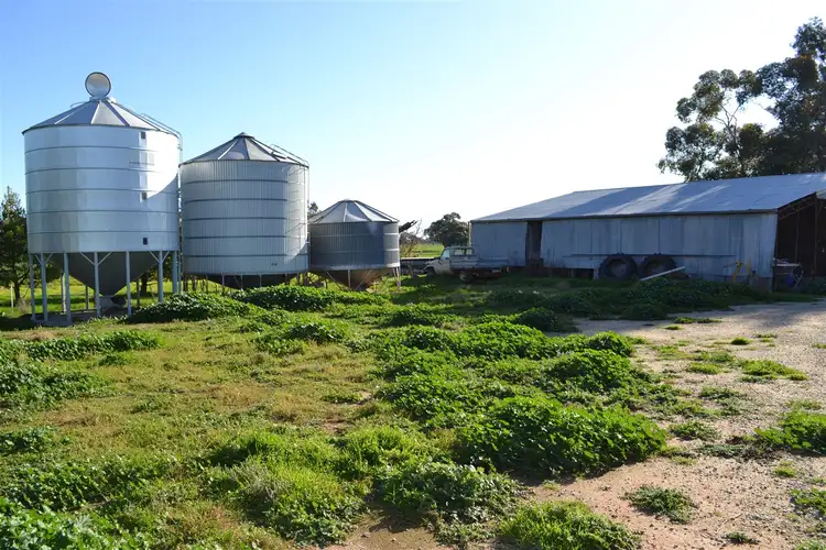 Third view of Homely rural property listing, 306 McKenzie Road, Wandella VIC 3579