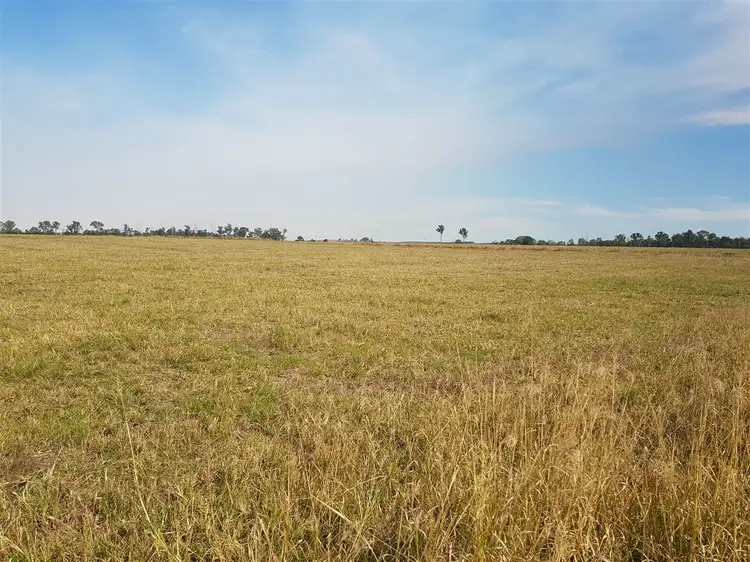 Main view of Homely rural property listing, 0 Skyring Reserve road, Gin Gin QLD 4671
