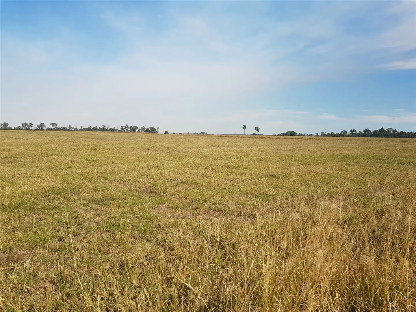 Main view of Homely rural property listing, 0 Skyring Reserve road, Gin Gin QLD 4671