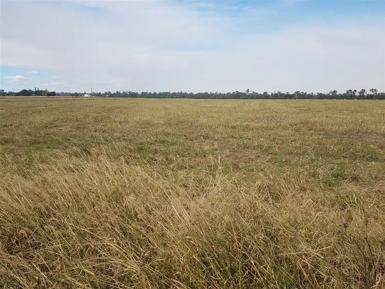 Fourth view of Homely rural property listing, 0 Skyring Reserve road, Gin Gin QLD 4671