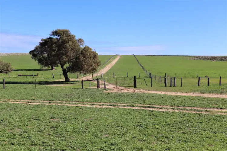 Third view of Homely rural property listing, 1085 Indian Ocean Drive, Gabbadah WA 6041