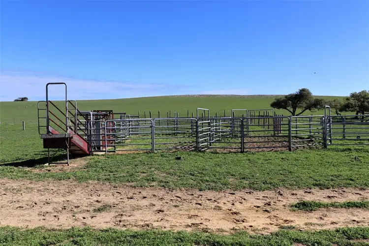 Fourth view of Homely rural property listing, 1085 Indian Ocean Drive, Gabbadah WA 6041
