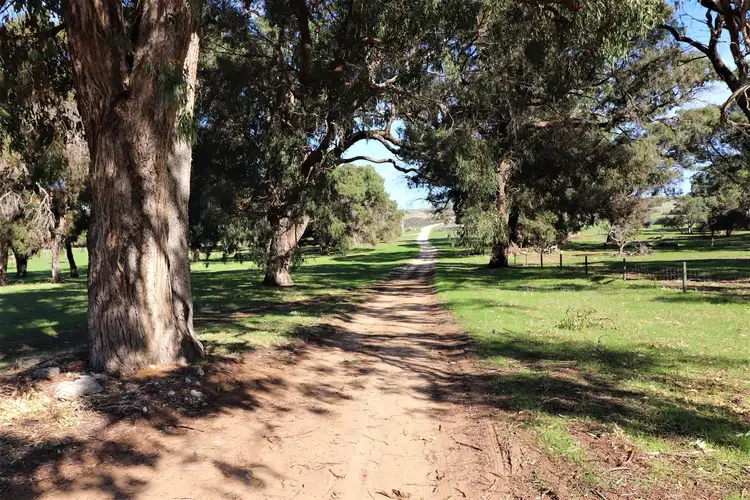 Sixth view of Homely rural property listing, 1085 Indian Ocean Drive, Gabbadah WA 6041