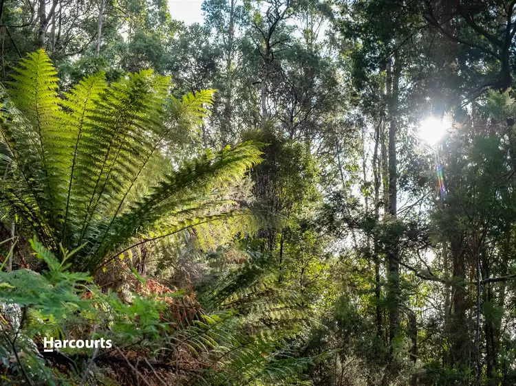 Lot 1 Hills Road, Franklin TAS 7113