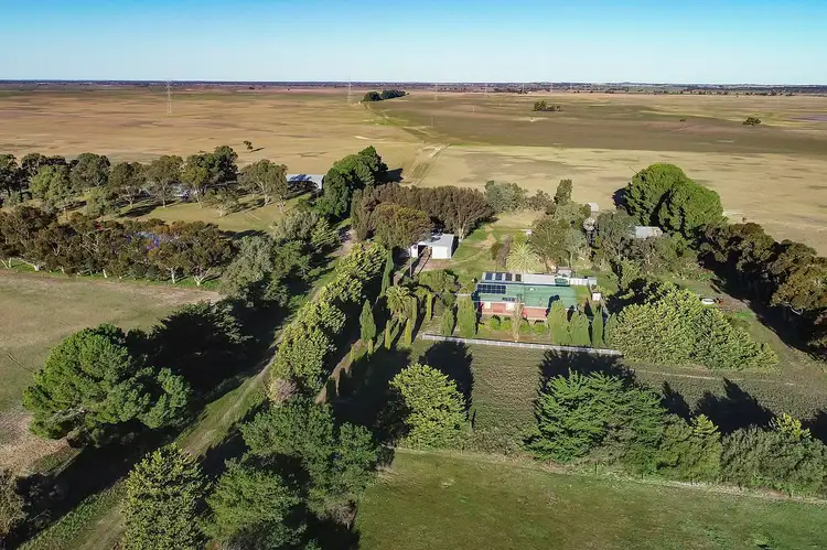 Second view of Homely rural property listing, 1295 Woods Well Road, Tintinara SA 5266