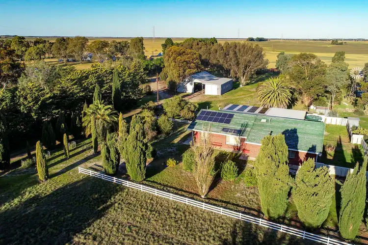 Third view of Homely rural property listing, 1295 Woods Well Road, Tintinara SA 5266