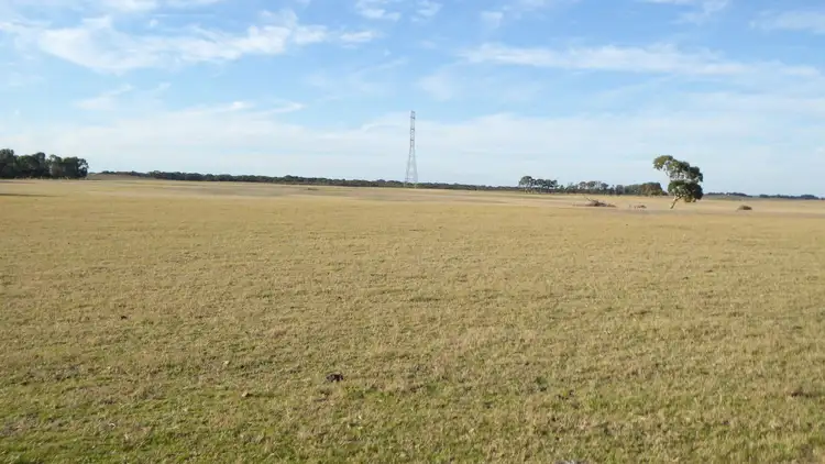Fourth view of Homely rural property listing, 1295 Woods Well Road, Tintinara SA 5266