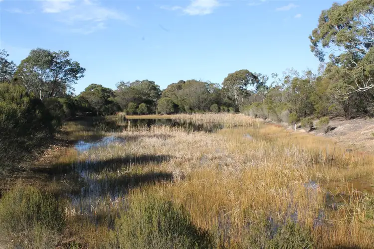 Main view of Homely rural property listing, 977 Bombay Road, Braidwood NSW 2622