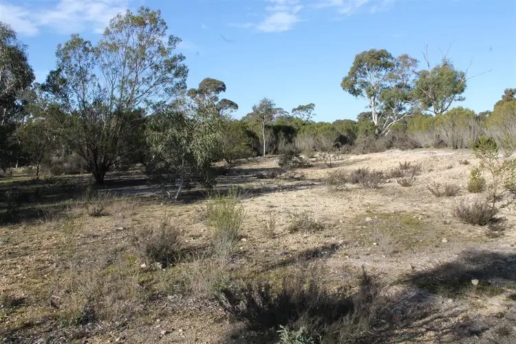 Third view of Homely rural property listing, 977 Bombay Road, Braidwood NSW 2622