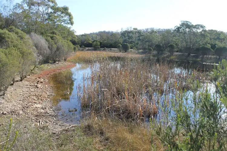 Fourth view of Homely rural property listing, 977 Bombay Road, Braidwood NSW 2622