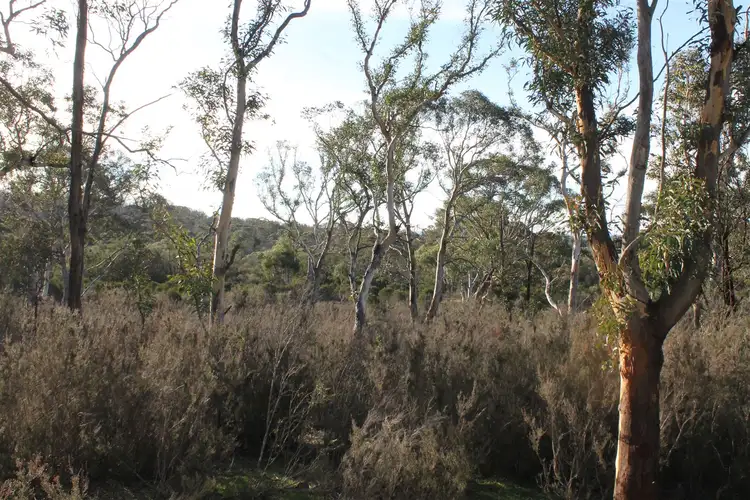 Fifth view of Homely rural property listing, 977 Bombay Road, Braidwood NSW 2622