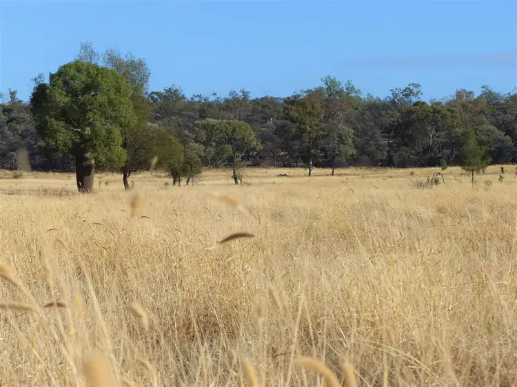 "Hiddenvale" 363 Hiddenvale Road, Roma QLD 4455