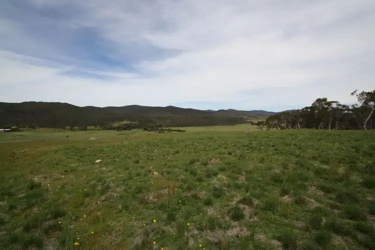 Fourth view of Homely rural property listing, 3940 Cooma Rd, Braidwood NSW 2622