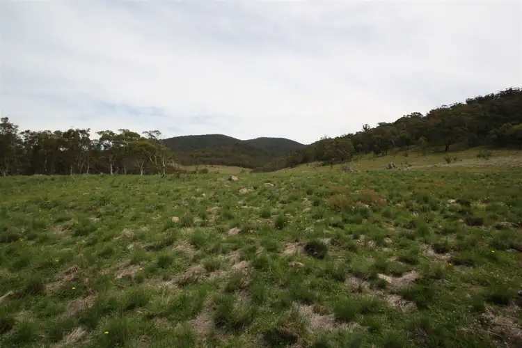 Sixth view of Homely rural property listing, 3940 Cooma Rd, Braidwood NSW 2622