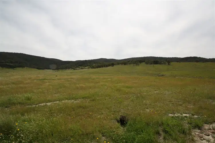 Seventh view of Homely rural property listing, 3940 Cooma Rd, Braidwood NSW 2622
