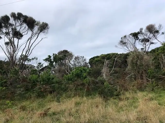 Fourth view of Homely land listing, Lot 4 Rankins Road, Naracoopa TAS 7256