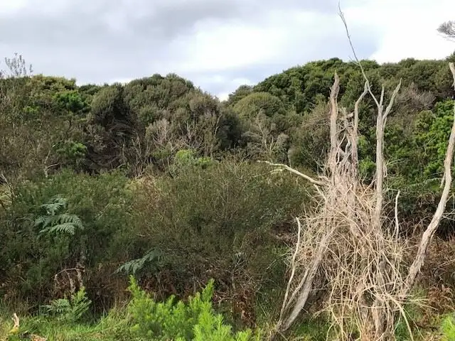 Fifth view of Homely land listing, Lot 4 Rankins Road, Naracoopa TAS 7256