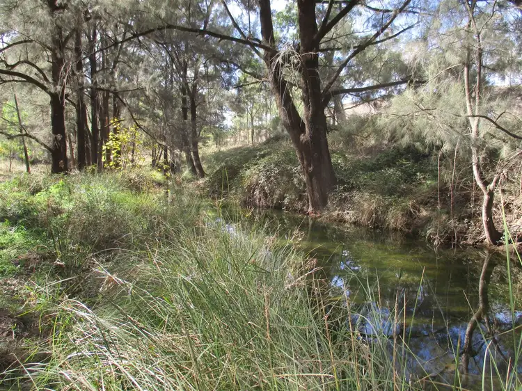 Fourth view of Homely rural property listing, "Little Haven" Barraba, Bundarra Road, Barraba NSW 2347