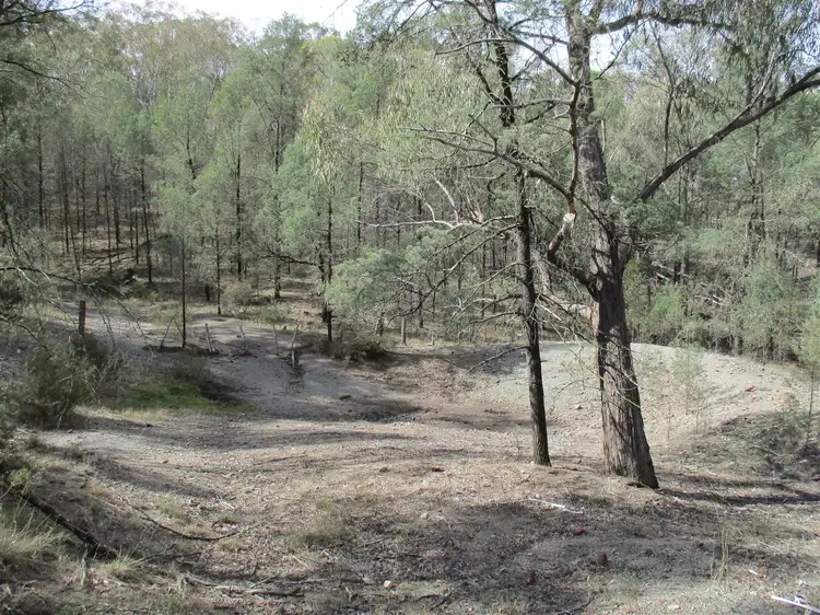 Fifth view of Homely rural property listing, "Little Haven" Barraba, Bundarra Road, Barraba NSW 2347