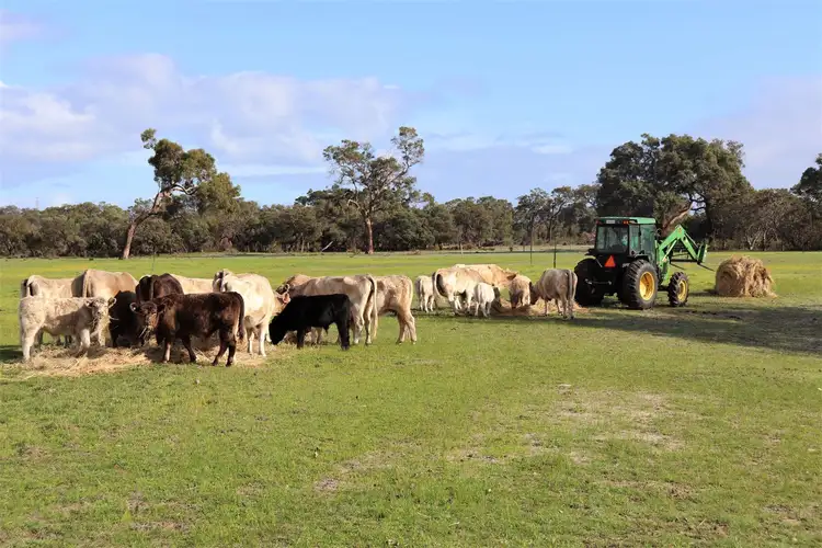 Fifth view of Homely rural property listing, 549 Telephone Road, Wanerie WA 6503