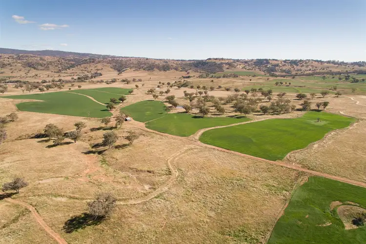 "Pepper Trees" Oakhampton Road, Barraba NSW 2347