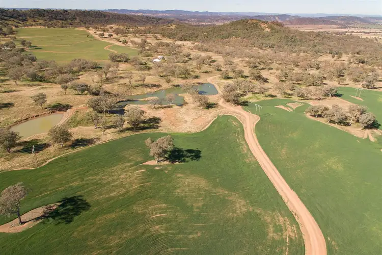 Second view of Homely rural property listing, "Pepper Trees" Oakhampton Road, Barraba NSW 2347