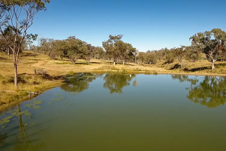 Fourth view of Homely rural property listing, "Pepper Trees" Oakhampton Road, Barraba NSW 2347