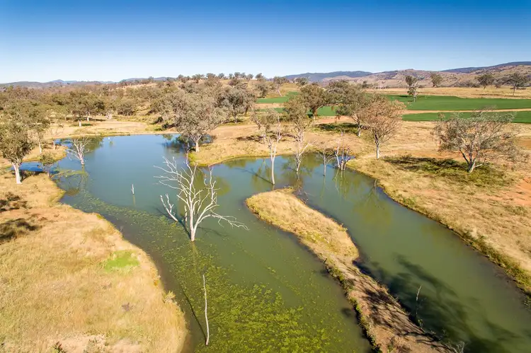 Fifth view of Homely rural property listing, "Pepper Trees" Oakhampton Road, Barraba NSW 2347