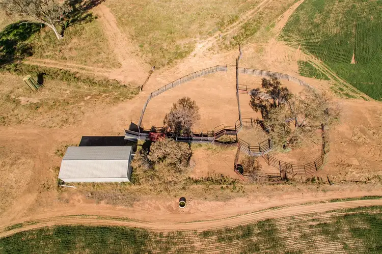 Sixth view of Homely rural property listing, "Pepper Trees" Oakhampton Road, Barraba NSW 2347