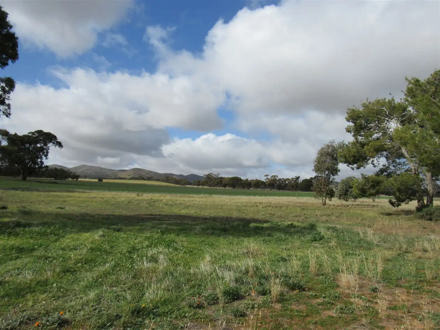 Main view of Homely land listing, Lot 104 Alfred Street, Hallett SA 5419