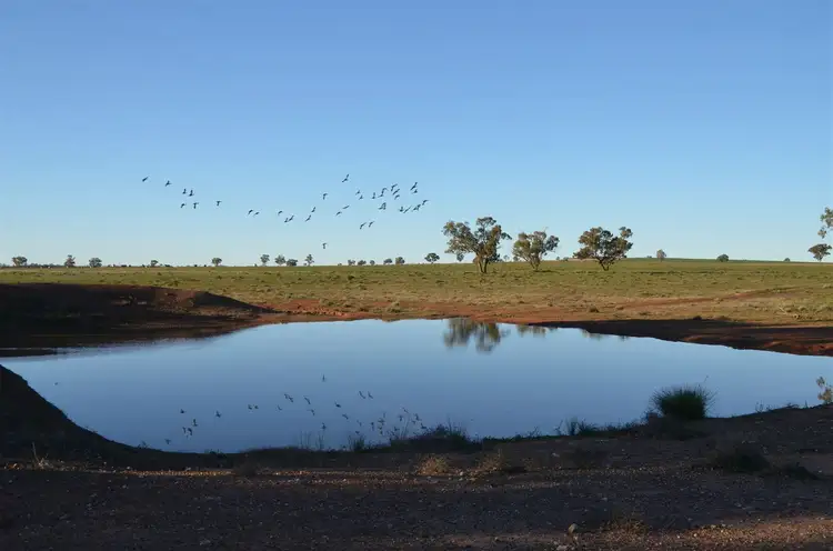 * The Poplars, Lake Cargelligo NSW 2672