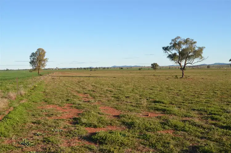 Fifth view of Homely rural property listing, * The Poplars, Lake Cargelligo NSW 2672