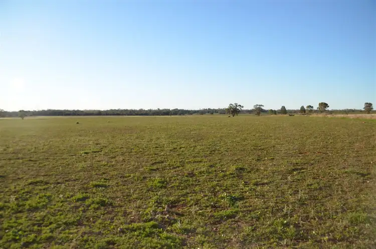 Sixth view of Homely rural property listing, * The Poplars, Lake Cargelligo NSW 2672